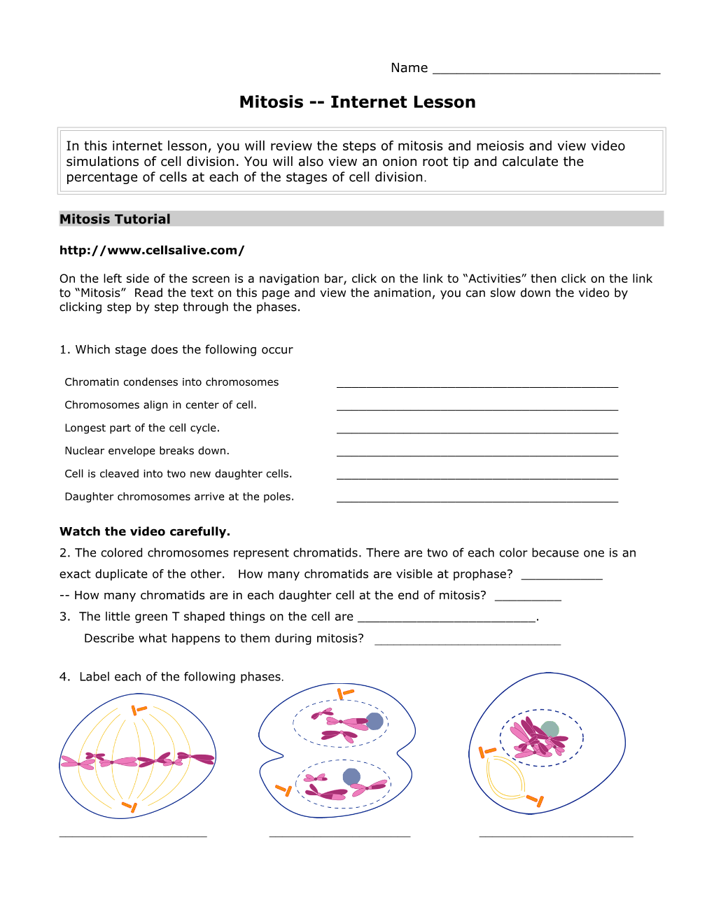 Mitosis and Meiosis s1