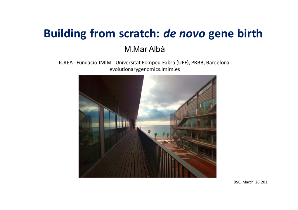 Building from Scratch: De Novo Gene Birth M.Mar Albà