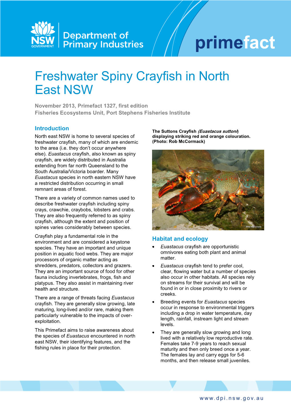 Freshwater Spiny Crayfish in North East NSW