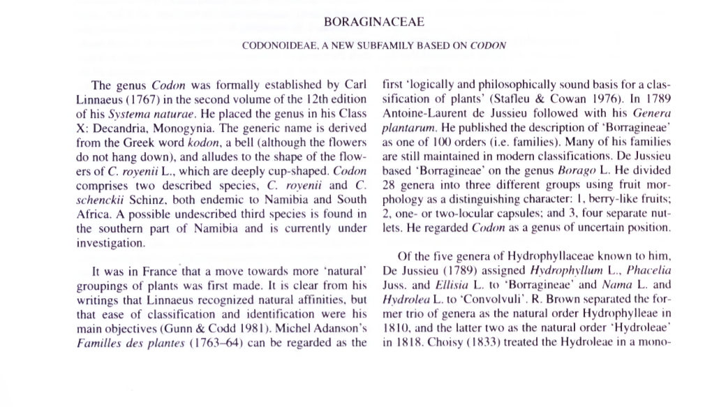 BORAGINACEAE the Genus Codon Was Formally Established