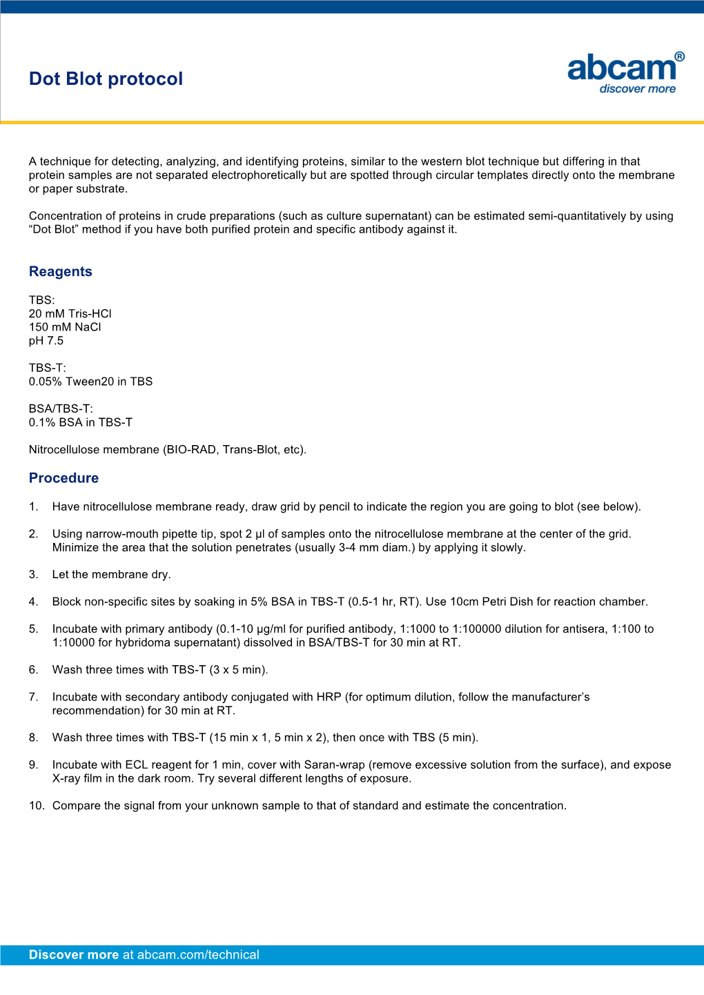 Dot Blot Protocol