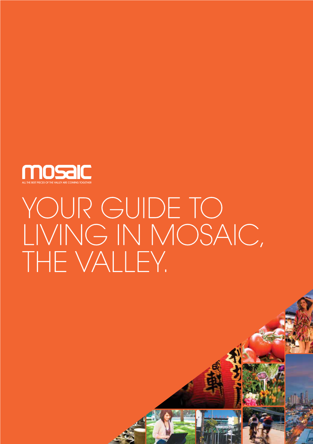 Your Guide to Living in Mosaic, the Valley. Letter from Gavin