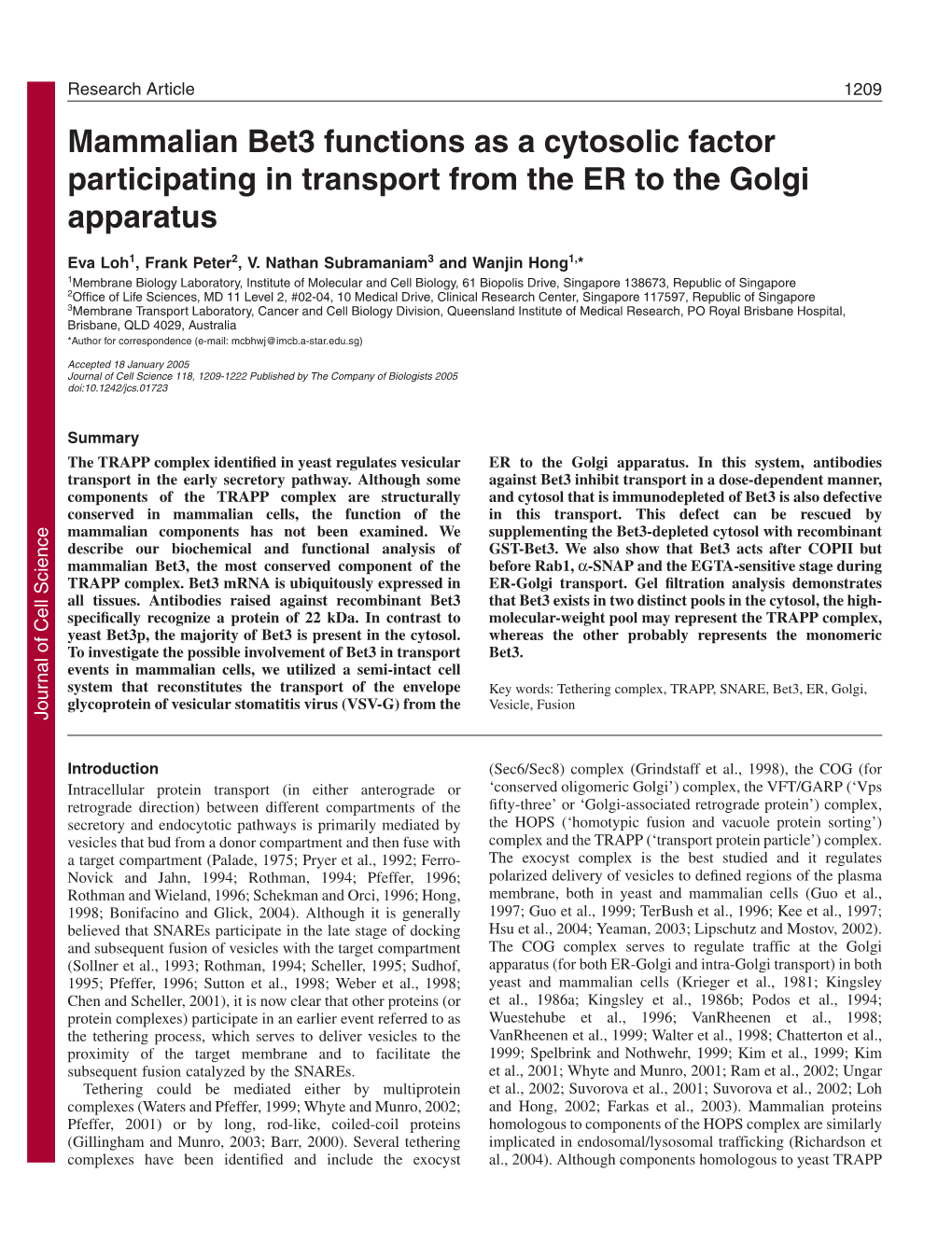Mammalian Bet3 Functions As a Cytosolic Factor Participating in Transport from the ER to the Golgi Apparatus
