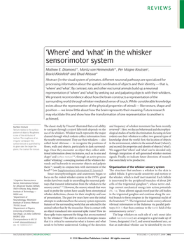 'Where' and 'What' in the Whisker Sensorimotor System