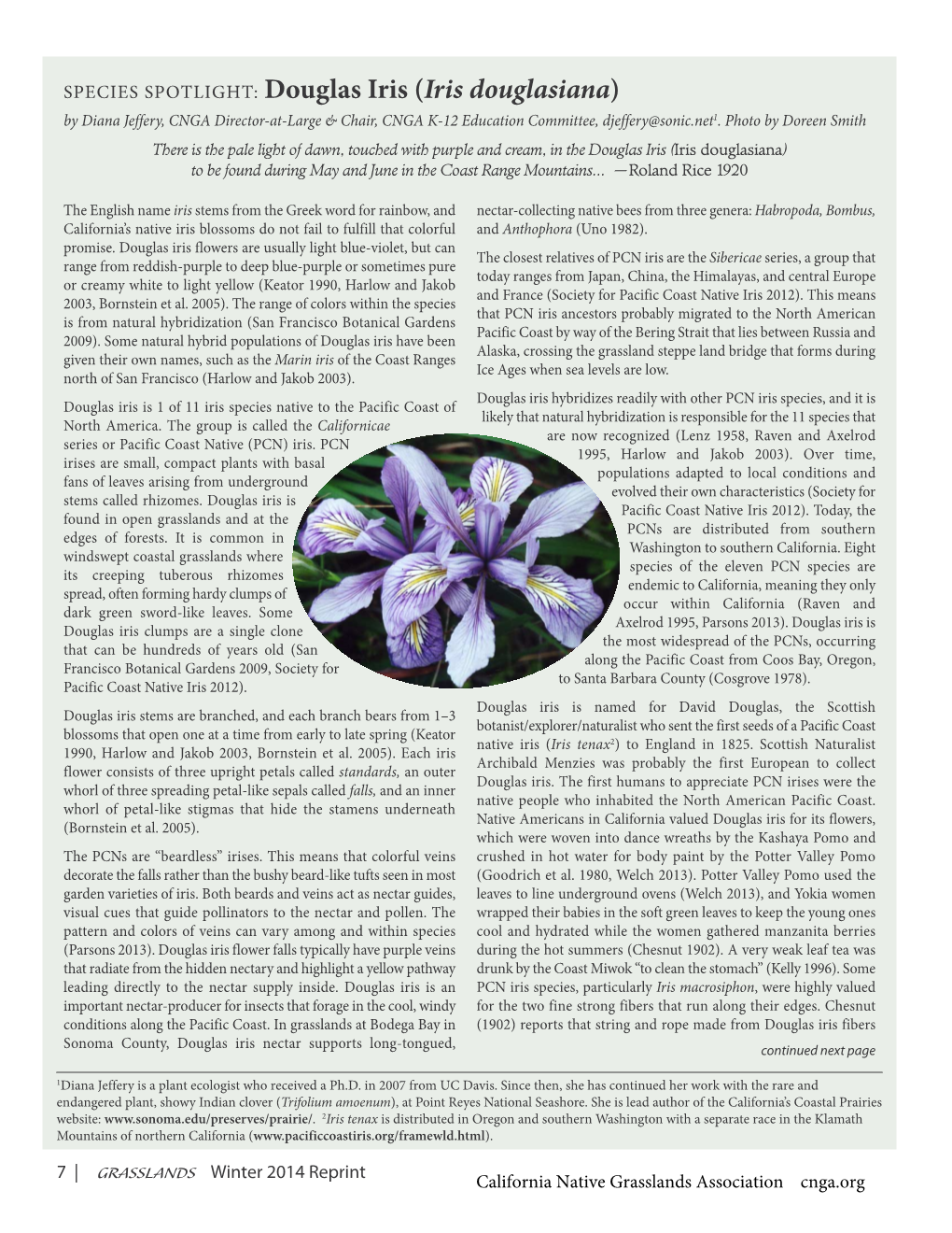 Douglas Iris (Iris Douglasiana) by Diana Jeffery, CNGA Director-At-Large & Chair, CNGA K-12 Education Committee, Djeffery@Sonic.Net1