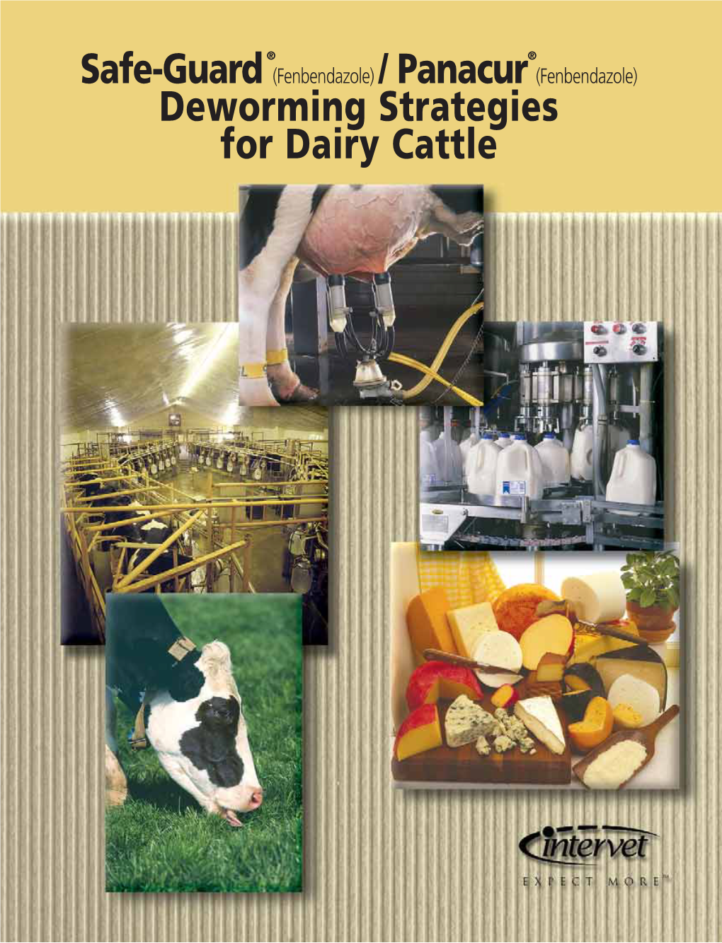 Safe-Guard® Deworming Strategies for Dairy Cattle