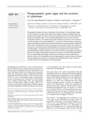Phragmoplastin, Green Algae and the Evolution of Cytokinesis