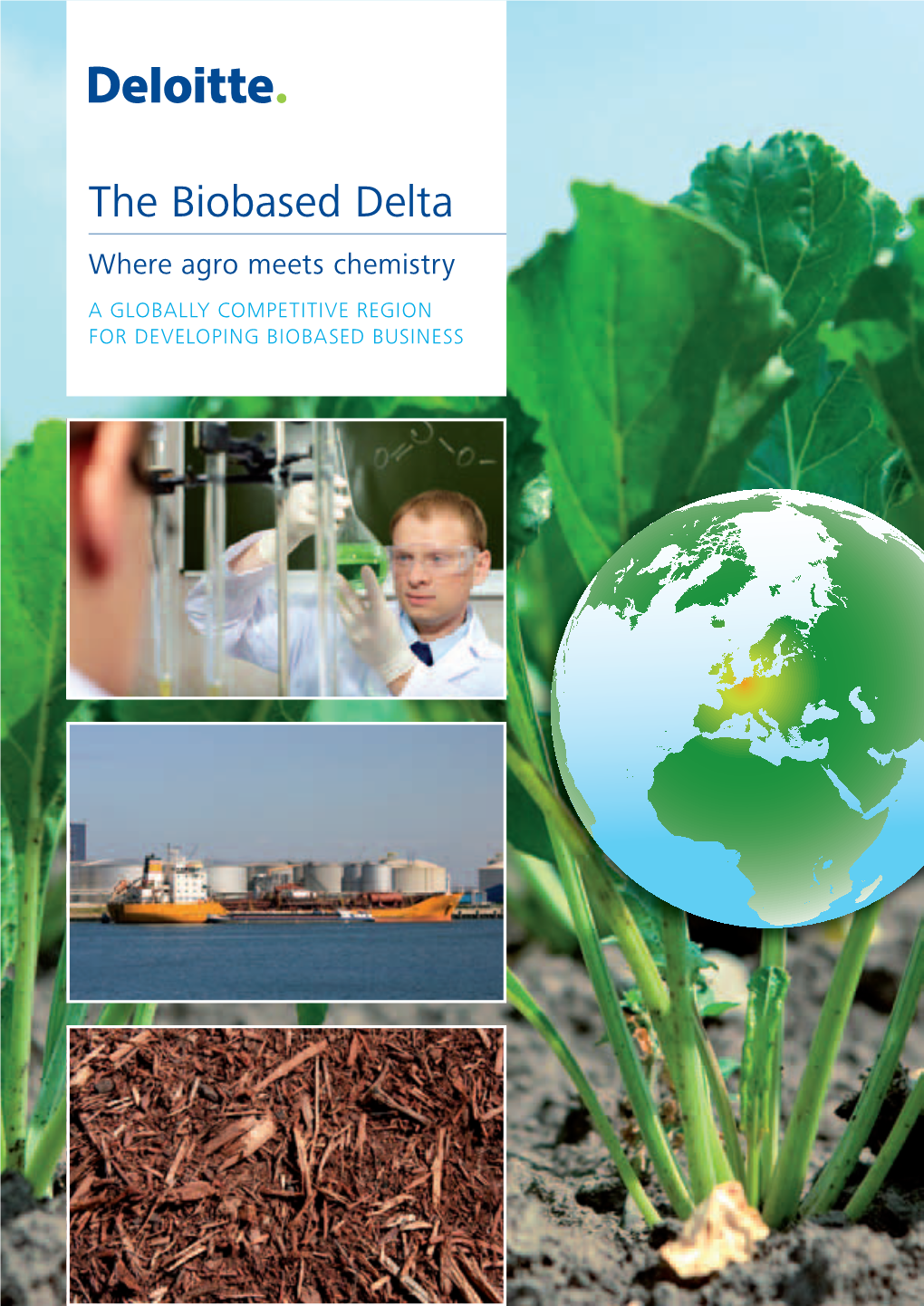 The Biobased Delta Where Agro Meets Chemistry a GLOBALLY COMPETITIVE REGION for DEVELOPING BIOBASED BUSINESS