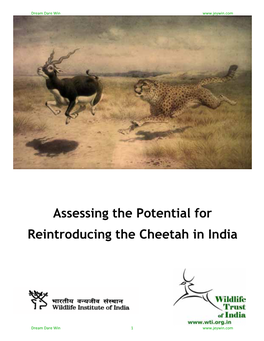 Assessing the Potential for Reintroducing the Cheetah in India
