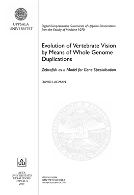 Evolution of Vertebrate Vision by Means of Whole Genome Duplications