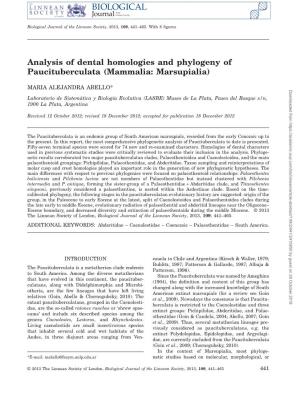 Analysis of Dental Homologies and Phylogeny of Paucituberculata (Mammalia: Marsupialia)
