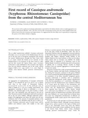 First Record of Cassiopea Andromeda (Scyphozoa: Rhizostomeae: Cassiopeidae) from the Central Mediterranean Sea Patrick J