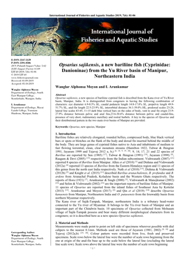 Opsarius Sajikensis, a New Bariliine Fish (Cyprinidae: Danioninae) From