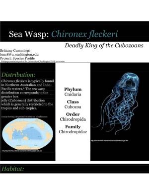 Sea Wasp: Chironex Fleckeri