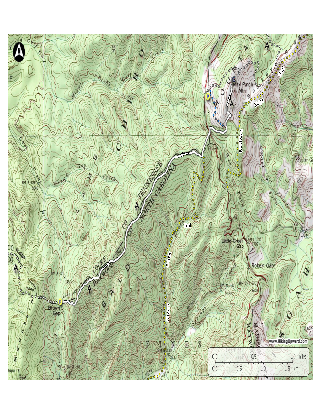 Max Patch Hike