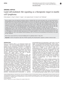 Lipid Raft-Mediated Akt Signaling As a Therapeutic Target in Mantle Cell Lymphoma