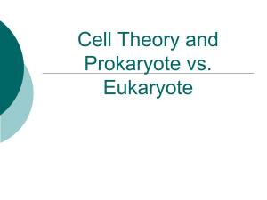 Cell Theory and Prokaryote Vs. Eukaryote What Is a Cell?