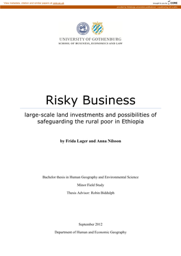 Risky Business Large-Scale Land Investments and Possibilities of Safeguarding the Rural Poor in Ethiopia