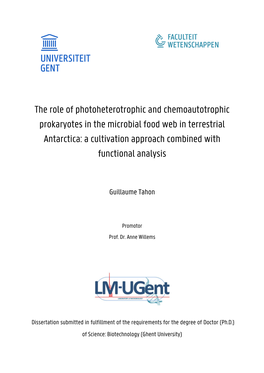The Role of Photoheterotrophic and Chemoautotrophic