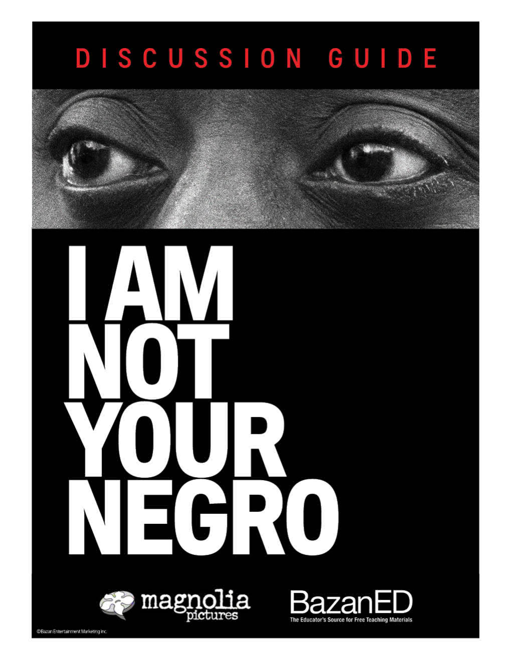 i am not your negro film essay