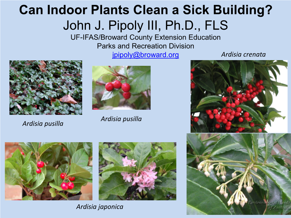 Can Indoor Plants Clean a Sick Building? John J. Pipoly III, Ph.D