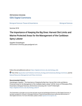 Harvest Slot Limits and Marine Protected Areas for the Management of the Caribbean Spiny Lobster