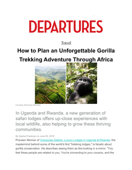 How to Plan an Unforgettable Gorilla Trekking Adventure Through Africa