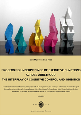 Processing Underpinnings of Executive Functions Across Adulthood: the Interplay of Cognitive Control and Inhibition