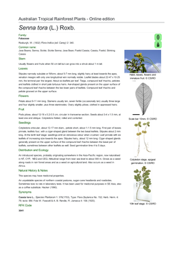 Senna Tora (L.) Roxb. Family: Fabaceae Roxburgh, W