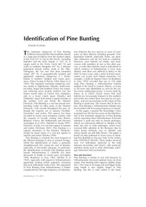 Identification of Pine Bunting T