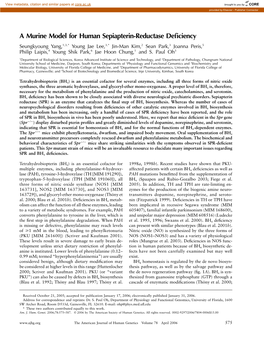 A Murine Model for Human Sepiapterin-Reductase Deficiency