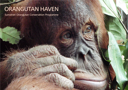 ORANGUTAN HAVEN Sumatran Orangutan Conservation Programme