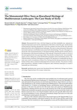 The Monumental Olive Trees As Biocultural Heritage of Mediterranean Landscapes: the Case Study of Sicily