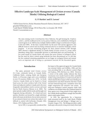 Effective Landscape Scale Management of Cirsium Arvense (Canada Thistle) Utilizing Biological Control