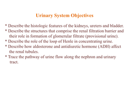 Urinary System Objectives