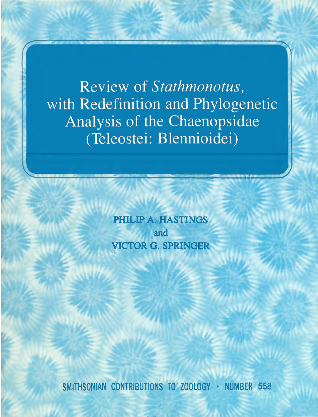 Review of Stathmonotus, with Redefinition and Phylogenetic Analysis of the Chaenopsidae (Teleostei: Blennioidei)