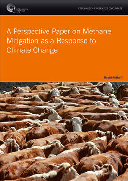 A Perspective Paper on Methane Mitigation As a Response to Climate Change