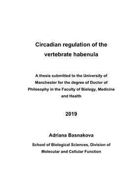 Circadian Regulation of the Vertebrate Habenula