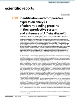 Identification and Comparative Expression Analysis of Odorant-Binding Proteins in the Reproductive System and Antennae of Atheti