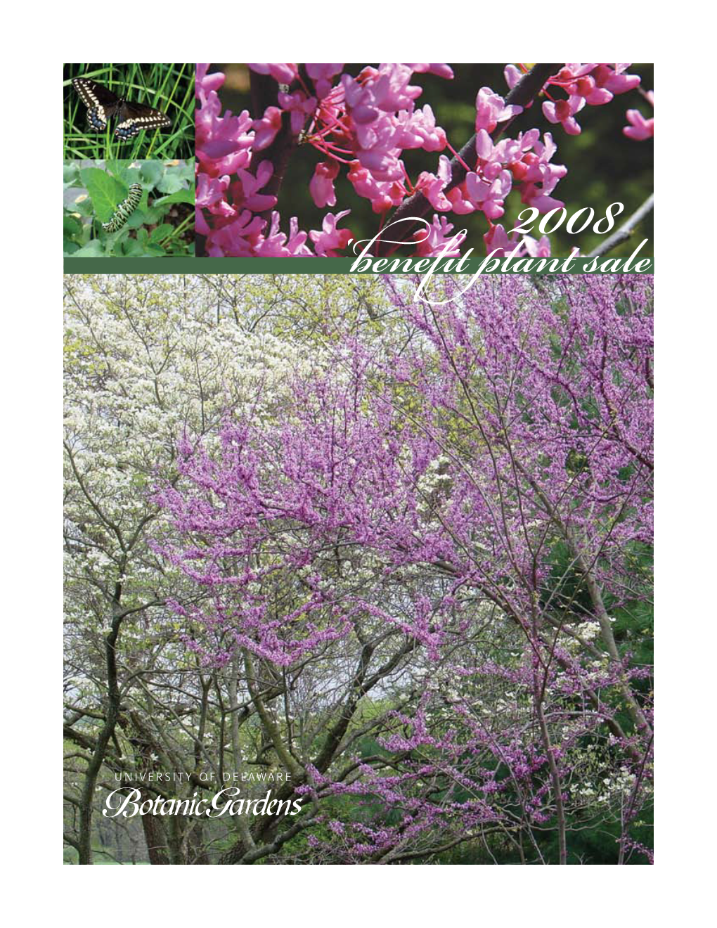 2008 UDBG Spring Plant Sale Catalog