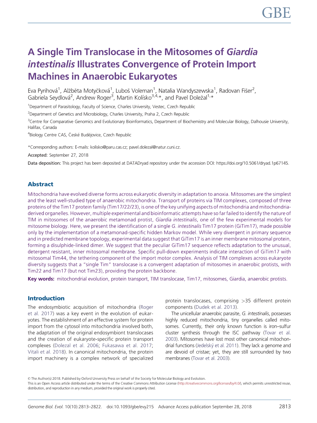 A Single Tim Translocase in the Mitosomes of Giardia Intestinalis Illustrates Convergence of Protein Import Machines in Anaerobic Eukaryotes