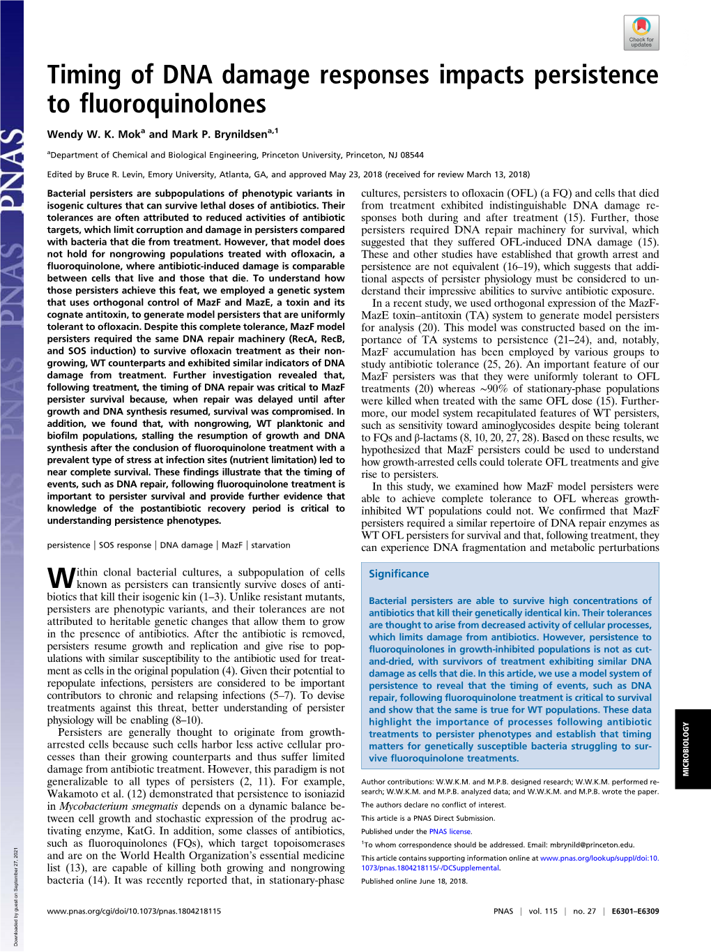 Timing of DNA Damage Responses Impacts Persistence to Fluoroquinolones