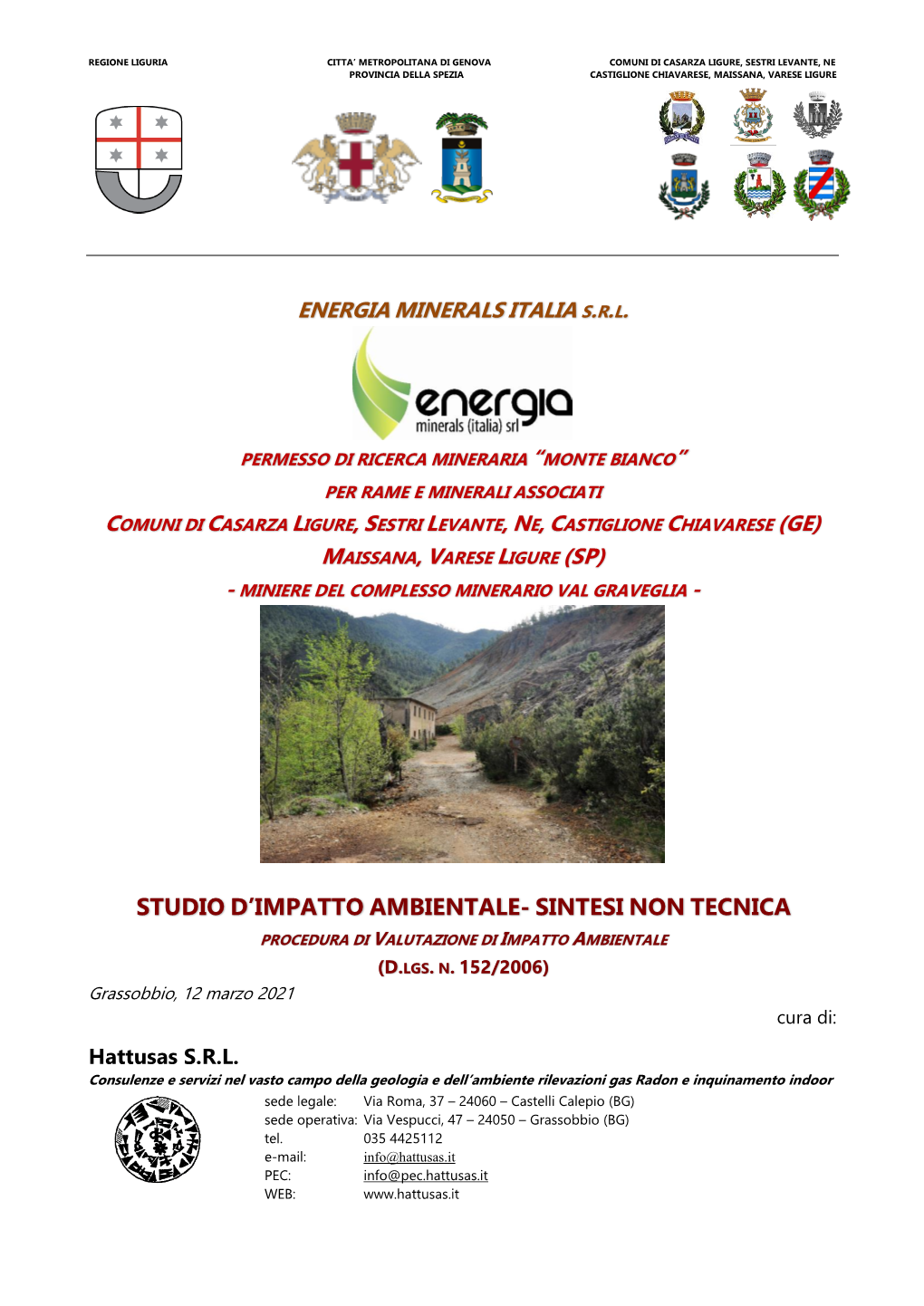 Studio D'impatto Ambientale- Sintesi Non Tecnica