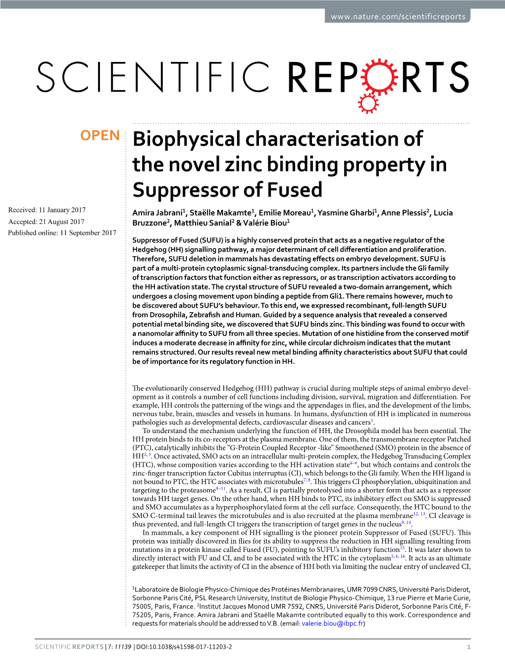 Biophysical Characterisation of the Novel Zinc Binding Property In