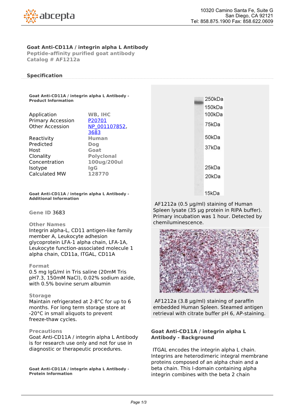 Goat Anti-CD11A / Integrin Alpha L Antibody Peptide-Affinity Purified Goat Antibody Catalog # Af1212a