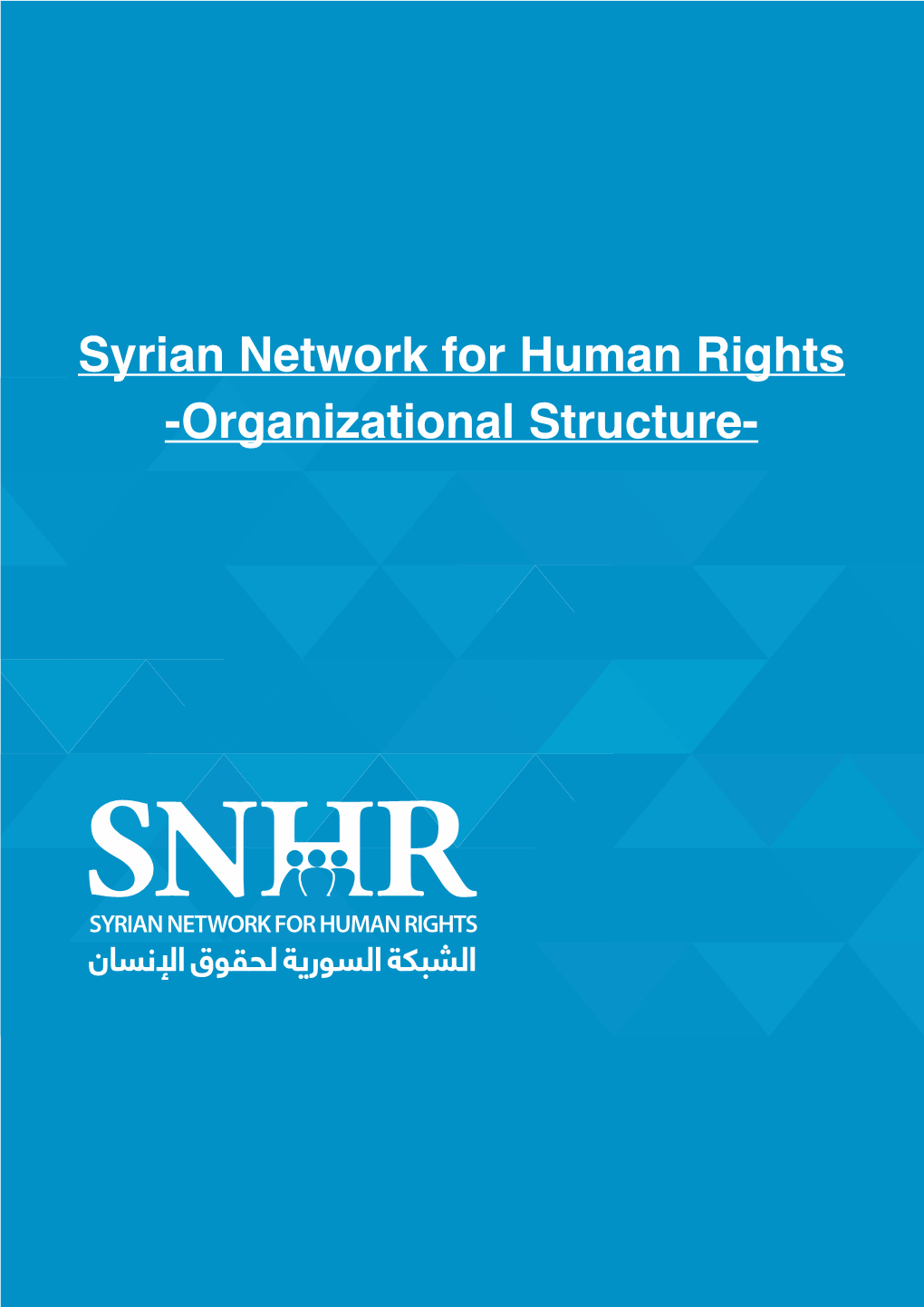 Syrian Network for Human Rights -Organizational Structure