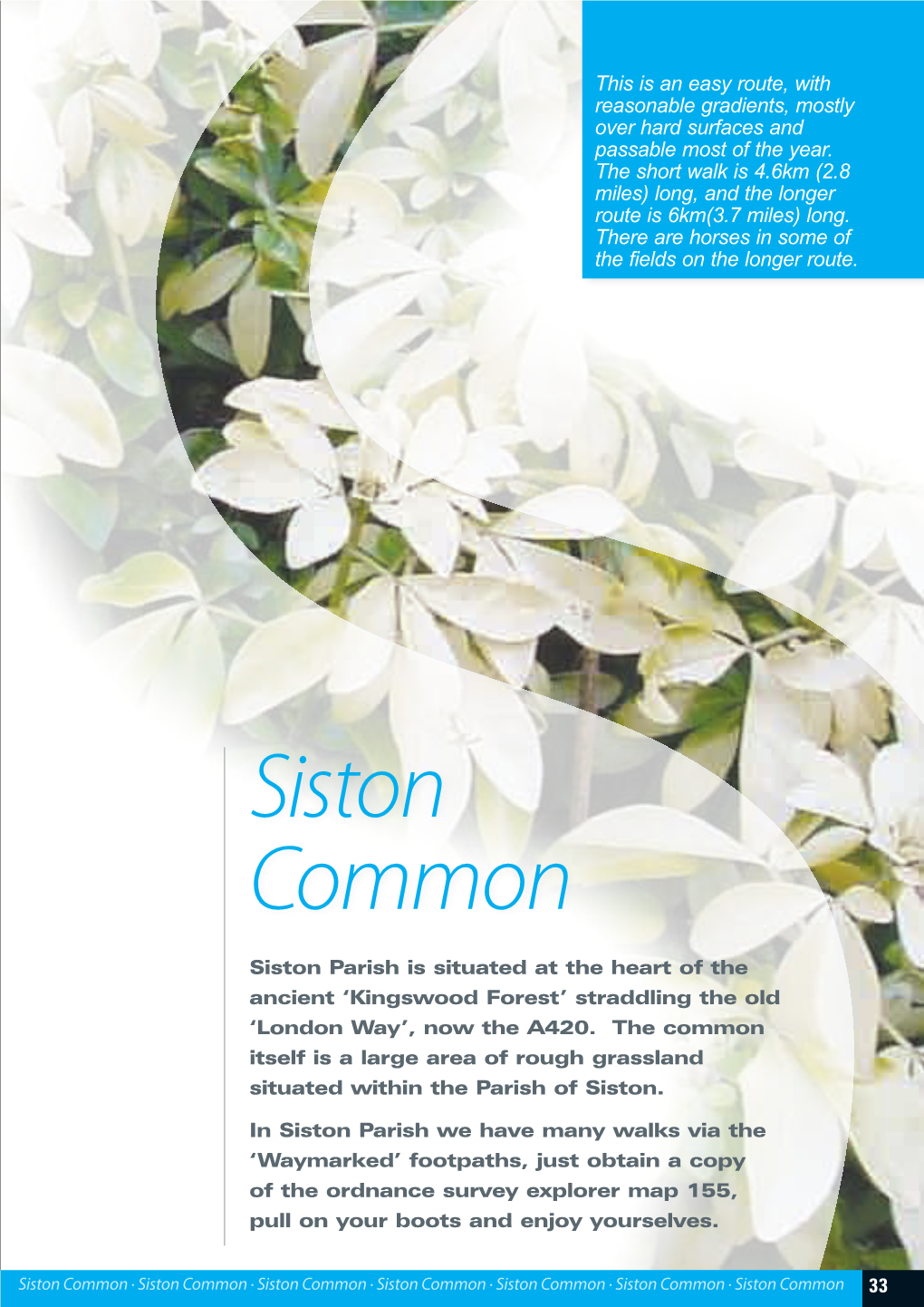 Siston Common