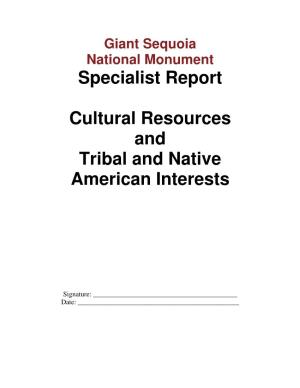 Cultural Resources and Tribal and Native American Interests