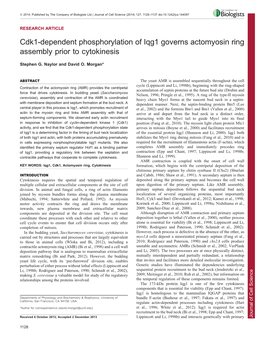 Cdk1-Dependent Phosphorylation of Iqg1 Governs Actomyosin Ring