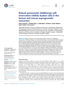 Robust Perisomatic Gabaergic Self- Innervation Inhibits Basket Cells in the Human and Mouse Supragranular Neocortex